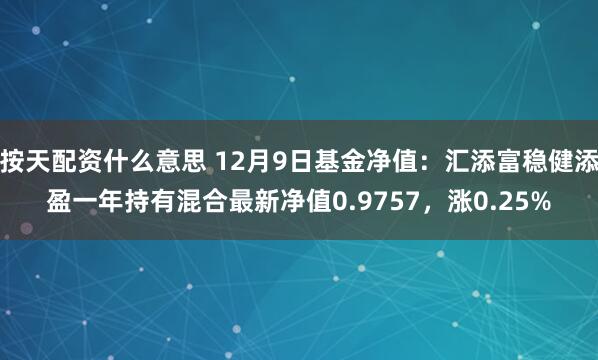 按天配资什么意思 12月9日基金净值：汇添富稳健添盈一年持有混合最新净值0.9757，涨0.25%