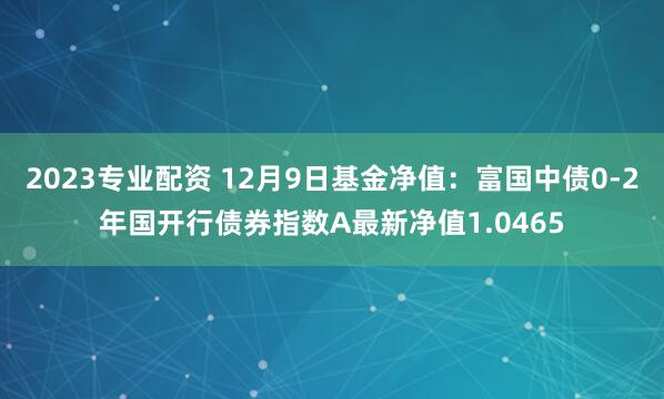 2023专业配资 12月9日基金净值：富国中债0-2年国开行债券指数A最新净值1.0465