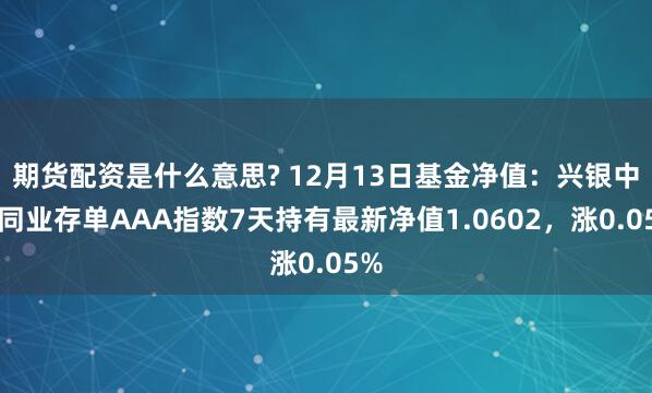 期货配资是什么意思? 12月13日基金净值：兴银中证同业存单AAA指数7天持有最新净值1.0602，涨0.05%