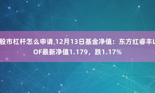 股市杠杆怎么申请 12月13日基金净值：东方红睿丰LOF最新净值1.179，跌1.17%