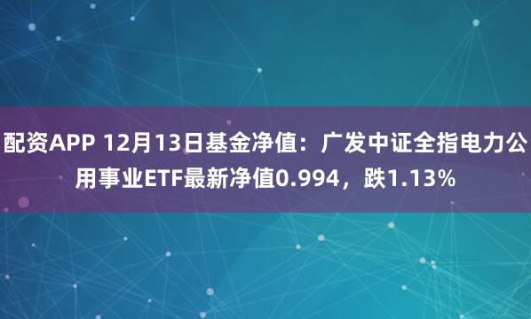 配资APP 12月13日基金净值：广发中证全指电力公用事业ETF最新净值0.994，跌1.13%