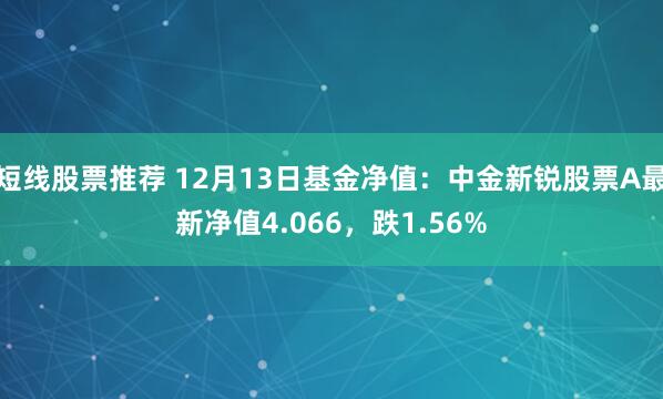 短线股票推荐 12月13日基金净值：中金新锐股票A最新净值4.066，跌1.56%