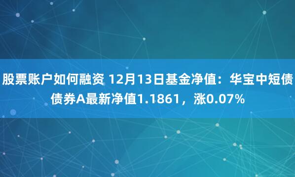 股票账户如何融资 12月13日基金净值：华宝中短债债券A最新净值1.1861，涨0.07%