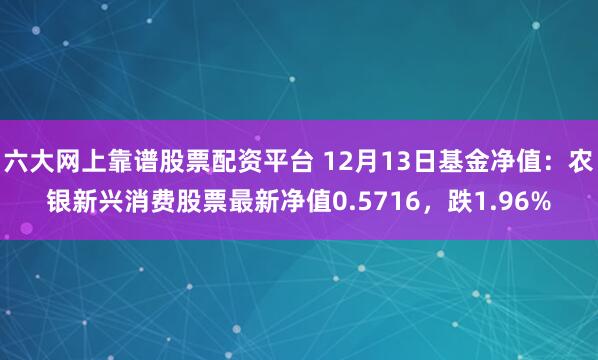 六大网上靠谱股票配资平台 12月13日基金净值：农银新兴消费股票最新净值0.5716，跌1.96%