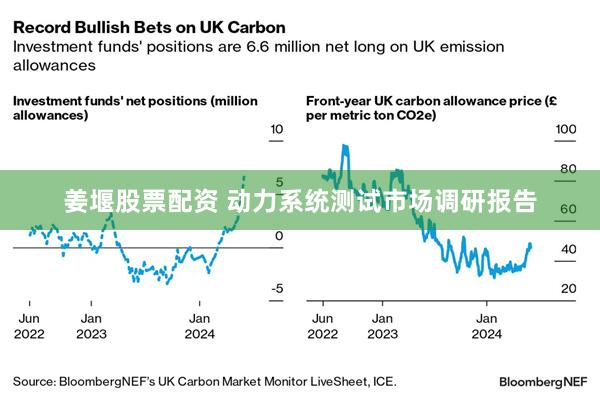 姜堰股票配资 动力系统测试市场调研报告