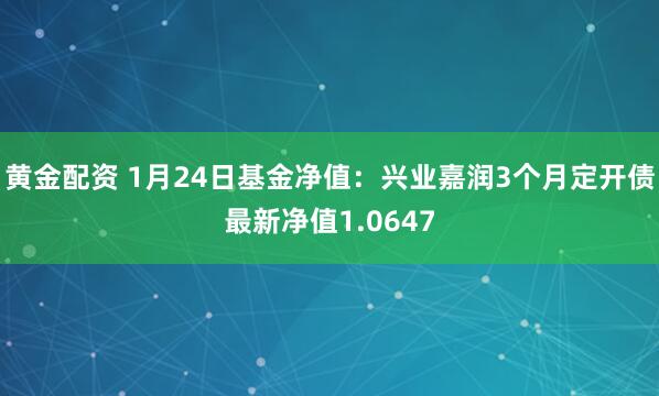 黄金配资 1月24日基金净值：兴业嘉润3个月定开债最新净值1.0647