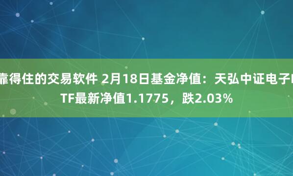 靠得住的交易软件 2月18日基金净值：天弘中证电子ETF最新净值1.1775，跌2.03%