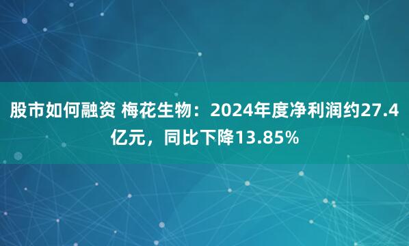 股市如何融资 梅花生物：2024年度净利润约27.4亿元，同比下降13.85%